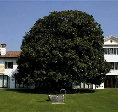 Hotel Fossa Mala *